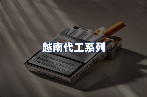 越南代工系列